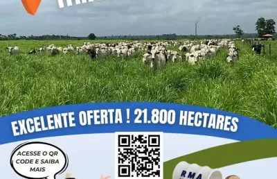 Fazenda para venda em itinga do maranhão, área rural