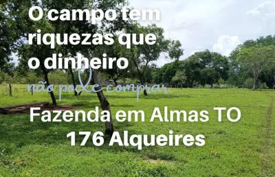 Fazenda à venda na Zona Rural, Almas 