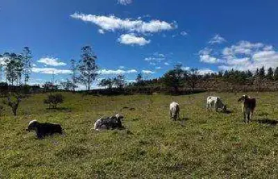Fazenda à venda na rural, 300, campo grande, pilar do sul, 15 m2 por r$ 2.000.000