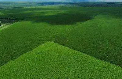 Fazenda à venda no centro, são joão do paraíso , 15764 m2 por r$ 420.000.000