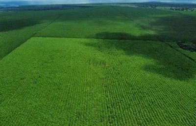 Fazenda à venda na rural, sn, centro, são joão do paraíso, 15764 m2 por r$ 420.000.000