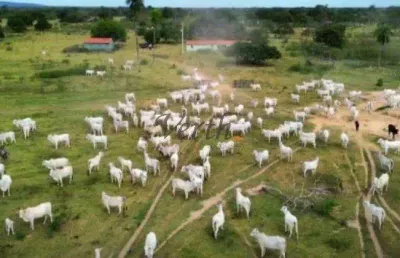 Fazenda à venda na josé barriga, 00, centro, rondonópolis, 2500 m2 por r$ 28.500.000