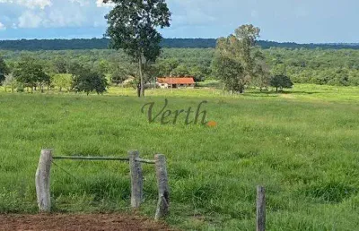 Fazenda à venda na rural, sn, centro, coxim, 300 m2 por r$ 13.000.000