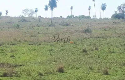 Fazenda à venda na rua rui barbosa, sn, centro, campo grande, 522 m2 por r$ 40.000.000
