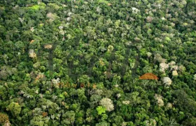 Fazenda à venda no centro, itamarati , 115873 m2 por r$ 78.000.000