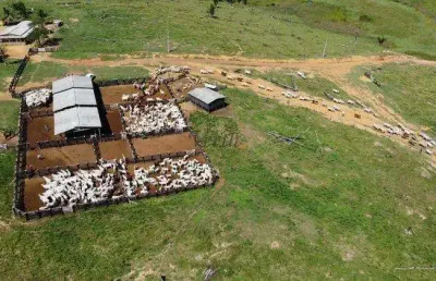 Fazenda à venda na rural, 12222, centro, pacajá, 3100 m2 por r$ 38.400.000