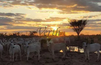 Fazenda à venda na rural, sn, centro, juatuba, 4020 m2 por r$ 27.000.000