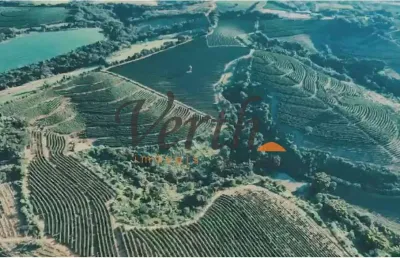 Fazenda à venda na rural, 3434, centro, luminárias, 239 m2 por r$ 30.000.000