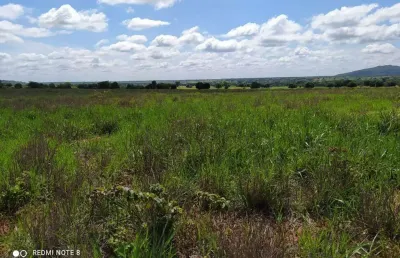 Fazenda à venda na rural, 1212, centro, manga, 4535 m2 por r$ 24.680.000