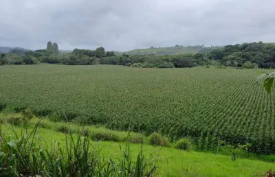 Fazenda à venda no centro, juiz de fora , 1008 m2 por r$ 50.000.000