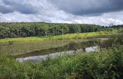 Fazenda à venda na rural, 1000, centro, são paulo, 90 m2 por r$ 20.000.000
