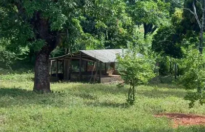 Fazenda à venda na rural, 100, centro, pintópolis, 200 m2 por r$ 5.000.000
