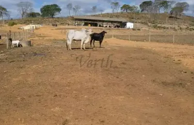 Fazenda à venda no centro, belo horizonte , 408 m2 por r$ 12.000.000
