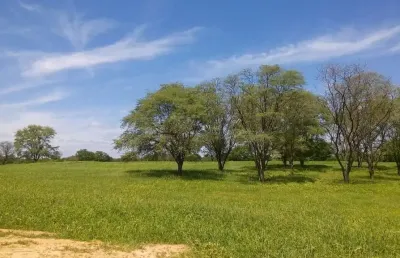 Fazenda à venda na teixeira de freitas, 100, centro, teixeira de freitas, 6000 m2 por r$ 21.000.000