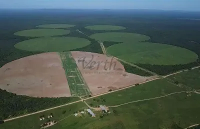 Fazenda à venda na avenida anchieta, 827, centro, campinas, 5600 m2 por r$ 140.000.000
