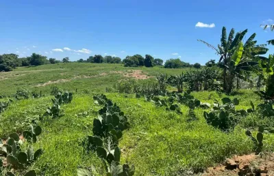 Fazenda à venda na avenida anchieta, 827, centro, campinas, 2000 m2 por r$ 25.000.000