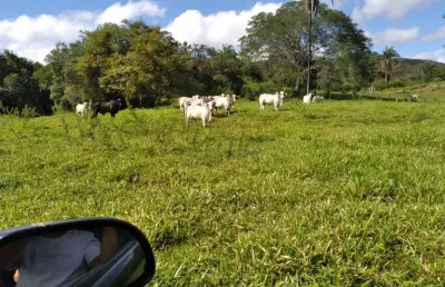 Fazenda à venda na rural, 1000, centro, diamantina, 2139 m2 por r$ 12.000.000