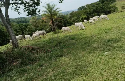 Fazenda à venda no centro, monte santo de minas , 160 m2 por r$ 1.100.000