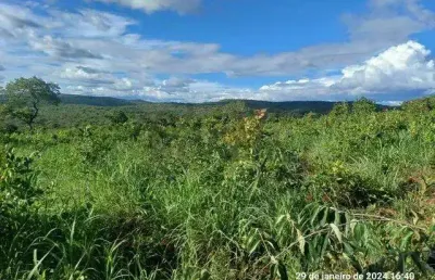 Fazenda à venda na avenida guilhermino ferreira, s/n, 1000, centro, salinas, 376 m2 por r$ 10.500.000
