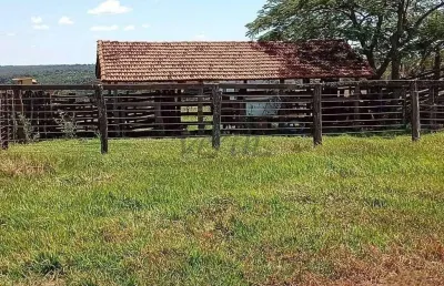 Fazenda à venda na avenida sete 380, 1000, centro, campina verde por r$ 10.890.000