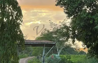 Fazenda à venda na rua inês soares 80, 1000, centro, pacajá, 800 m2 por r$ 55.000.000