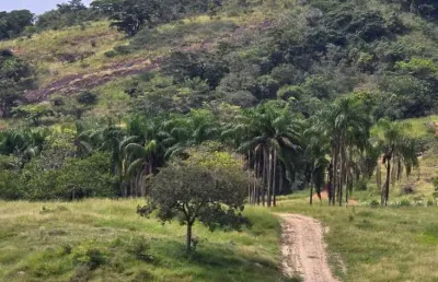 Fazenda à venda na avenida joão júlio de faria, centro, boa esperança, 71 m2 por r$ 6.000.000