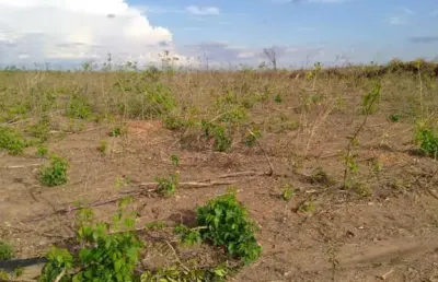 Fazenda à venda na rural, 3434, centro, riachão das neves, 2782 m2 por r$ 65.000.000