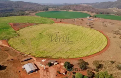 Fazenda à venda na adelina andrade porto, 1000, flamboyant, paracatu, 125 m2 por r$ 13.500.000