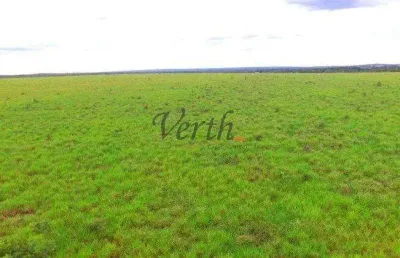 Fazenda à venda na rural, 2222, setor central, guaraí, 730 m2 por r$ 15.000.000