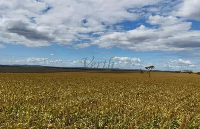Fazenda à venda na boa ventura, 2000, parque lago, formosa, 1600 m2 por r$ 105.000.000