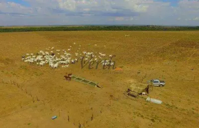 Fazenda à venda na rural, 1232, setor central, guaraí, 305 m2 por r$ 8.500.000