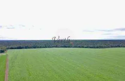 Fazenda à venda na governador júlio campos, 100, setor comercial, sinop, 1320 m2 por r$ 250.000.000