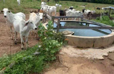 Fazenda à venda na manoel athaide, sn, são gonçalo, janaúba, 431 m2 por r$ 4.000.000