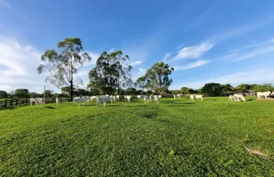 Fazenda à venda na rua floriano lima 71, 1000, centro, arinos, 202 m2 por r$ 2.500.000