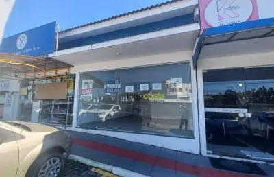 Loja para alugar, 42 m² - cidade universitária pedra branca - palhoça/sc