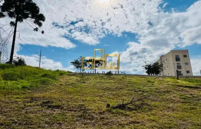 Terreno à venda, 450 m² - belvedere - poços de caldas/mg
