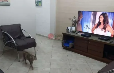 Casa com 2 quartos à venda na Caxambu, 200, Tatuapé, São Paulo