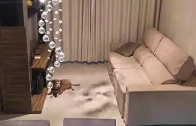 Casa com 3 quartos à venda na Rua Luiz de Souza, Bela Vista, Osasco