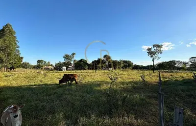 O campo está chamando: terreno de 1 hectare pronto para sua chácara!
