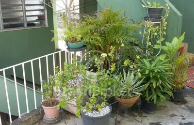 Apartamento à venda com 74,00m² e 2 quartos em piedade, rio de janeiro - rj