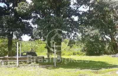 Chácara / sítio com 8 quartos à venda na Estrada da Soledade, Taquara, Duque de Caxias