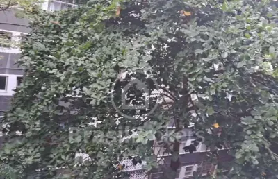 Apartamento à venda com 93 m² e 3 quartos no leblon, rio de janeiro, rj