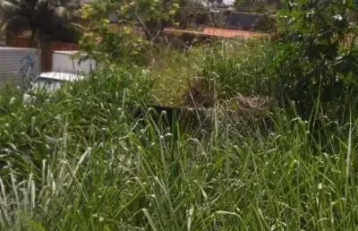 Terreno residencial à venda, campo grande, rio de janeiro.
