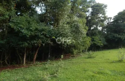 Terreno à venda na rodovia fausto santomauro, sp 127, jardim novo ii, rio claro, 24767 m2 por r$ 2.000.000