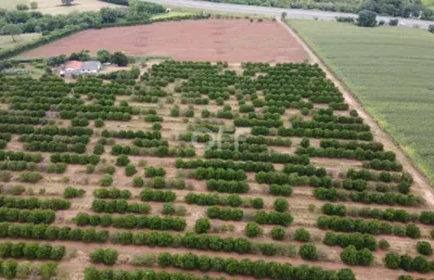 Terreno comercial à venda na rodovia sp-147, km70, jardim primavera, mogi mirim por r$ 2.800.000