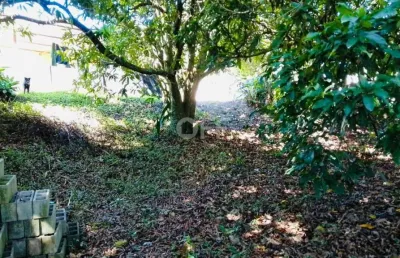 Terreno comercial à venda na rua padre jose correa, 90, das posses, serra negra por r$ 210.000