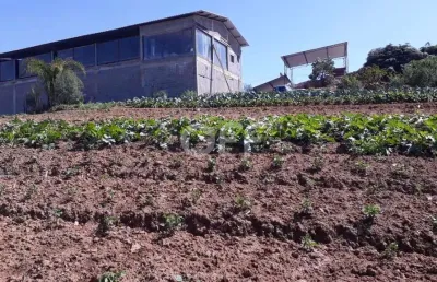 Chácara / sítio com 1 quarto à venda na estr. vicinal ver. ernesto pires de oliveira, km 09, ressaca, ibiúna, 250 m2 por r$ 2.800.000