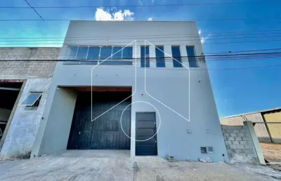 Barracão / Galpão / Depósito para alugar na Avenida Archimedes Manhães, 5141, Parque das Indústrias, Marília