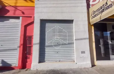 Barracão / Galpão / Depósito para alugar na Rua Francisco Busto Martins, Casa A, 77, Parque São Jorge, Marília
