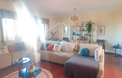 Apartamento com 3 quartos para alugar na Sampaio Vidal, 1169, Centro, Marília